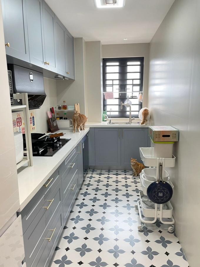 Modular Kitchen Cabinet Design With Rta Lacquer Finish For Residence 3