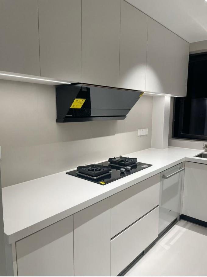 Modern Kitchen Cabinet with Marble Countertop for Apartments 0