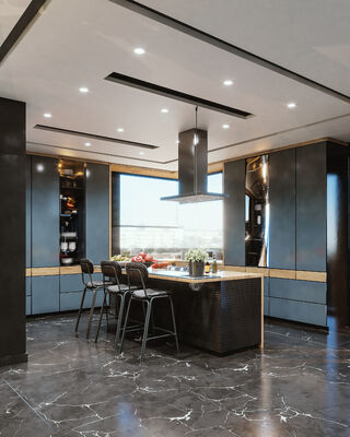 buy Luxurious  Kitchen Cabinets Open Space With Shaker Panel For Apartment online manufacturer