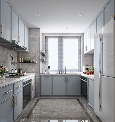 Customizable Plywood Doors Cabinet Moduar Kitchen Furniture Design Wood Lacquer