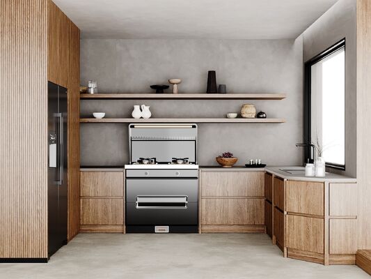 Hotel Modern Kitchen Cabinet Durable And Stylish For Kitchen Requirements