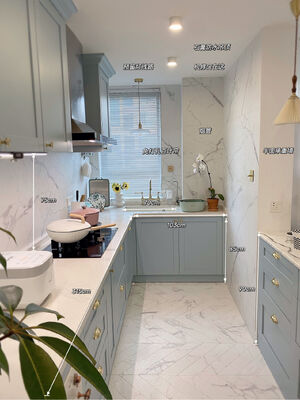 buy Kitchen Cabinet Door Shutter Panels Widens Steel Indoor House Kitchen Cabinet online manufacturer