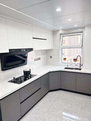buy Modular Kitchen Cabinet Design With Rta Lacquer Finish For Residence online manufacturer