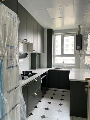 buy Modern Kitchen Cabinets with MDF Plywood Doors for Residence Hotel online manufacturer