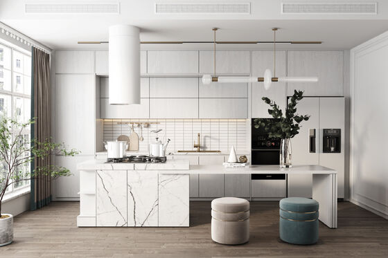 Modern Kitchen Design Cabinet Set Kitchen Cabinet Assembly Limited Time Discount
