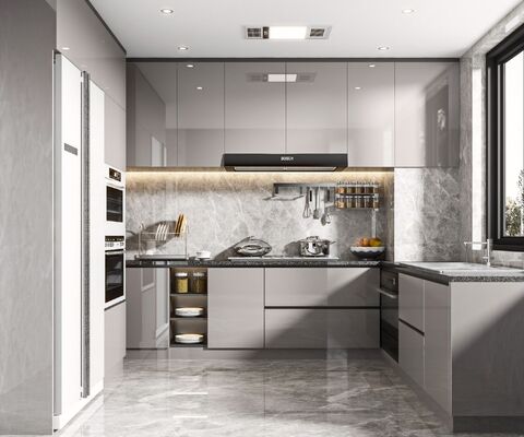 High End Design Lacquered Finish Modern Modular Kitchen Cabinets