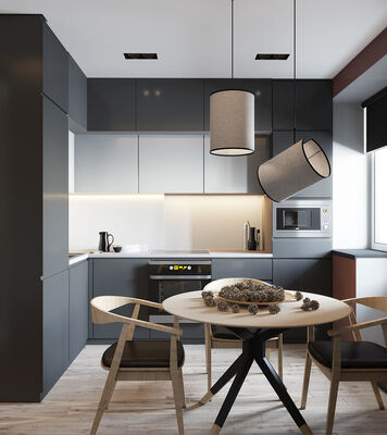 Luxurious  Kitchen Cabinets Open Space With Shaker Panel For Apartment