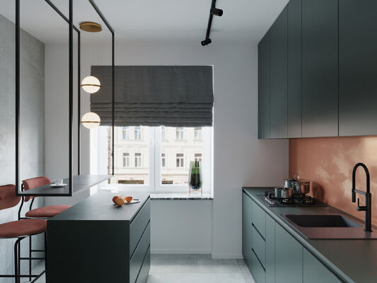 Luxurious  Kitchen Cabinets Open Space With Shaker Panel For Apartment