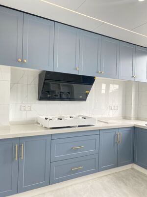 Direct Manufacturer Ready Made Finished Aluminum Glass Door Kitchen Cabinet