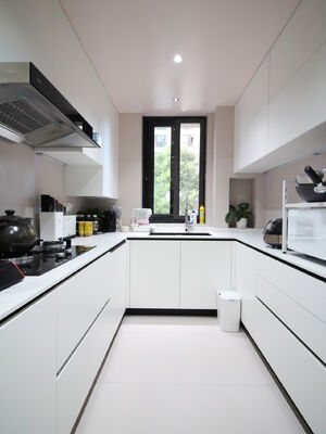 Home furniture Modern Kitchen Cabinet With Particle Board Carcase Material