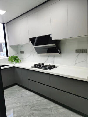 Modern Style Kitchen Cabinet Melamine Finished Wood Grain Design Cupboard