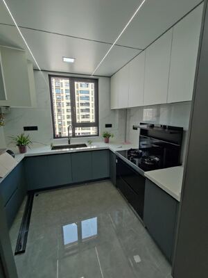 Modern Kitchen Cabinet with Plywood Doors for Residences