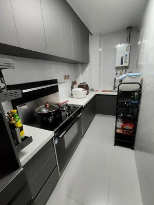 Premium Textured Matte Kitchen Cabinets with Anti-Scratch Finish