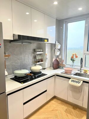 18mm MDF Shaker Style Kitchen Cabinets for Residence and Hotel
