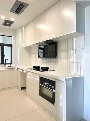 Modern Shaker Kitchen Cabinet Set with Soft Close Hinges