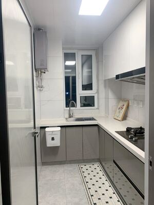 Modern Kitchen Cabinet with Melamine Door Panel Customizable