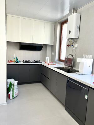 Modern Kitchen Cabinet with Melamine Door Panel Customizable