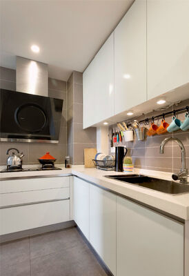 Modern Kitchen Cabinets with MDF Plywood Doors for Residence Hotel