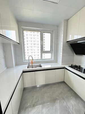 Modern Kitchen Cabinets with Quartz Countertop and Backsplash