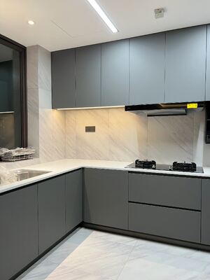 Custom Moisture Proof Kitchen Cabinets with Modular Design