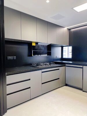 Modern Kitchen Cabinet with Quartz Countertop and Faucet