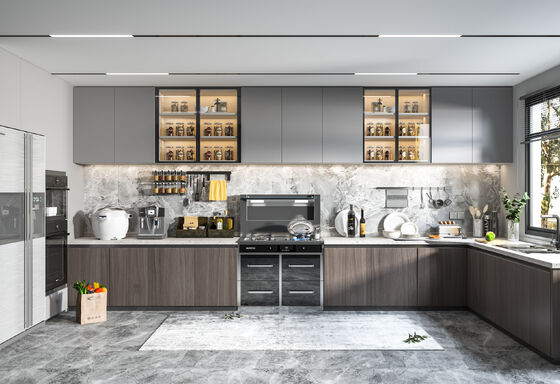 Custom Modern Kitchen Cabinet Modular Design for Residences