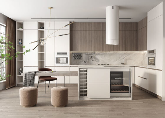 Custom Modern Kitchen Cabinets Modular Design for Residence Hotel
