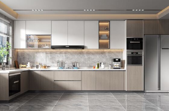 Modern Small Kitchen Cabinet with Plywood Door for Apartments