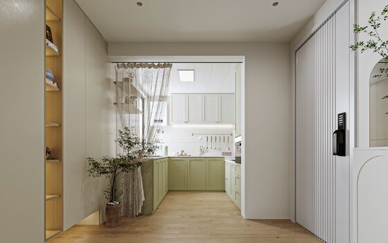 Hotel Modern Shaker Kitchen Cabinets Customizable Plywood Systems Eco-Friendly